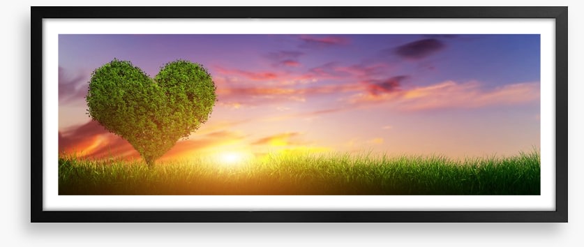 Love heart tree panorama