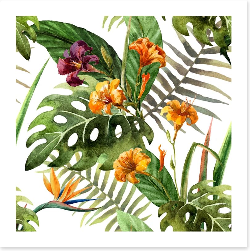 Tropical orchid leaves