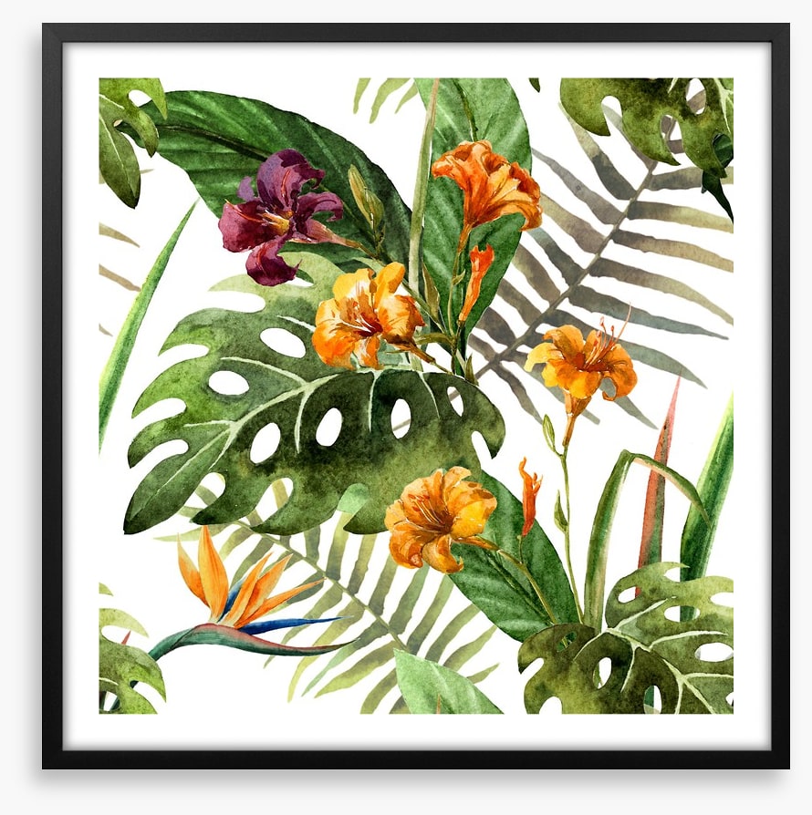 Tropical orchid leaves
