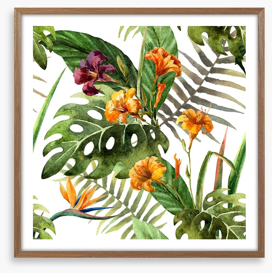 Tropical orchid leaves