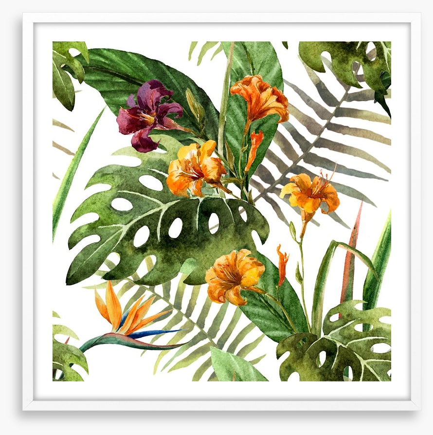 Tropical orchid leaves
