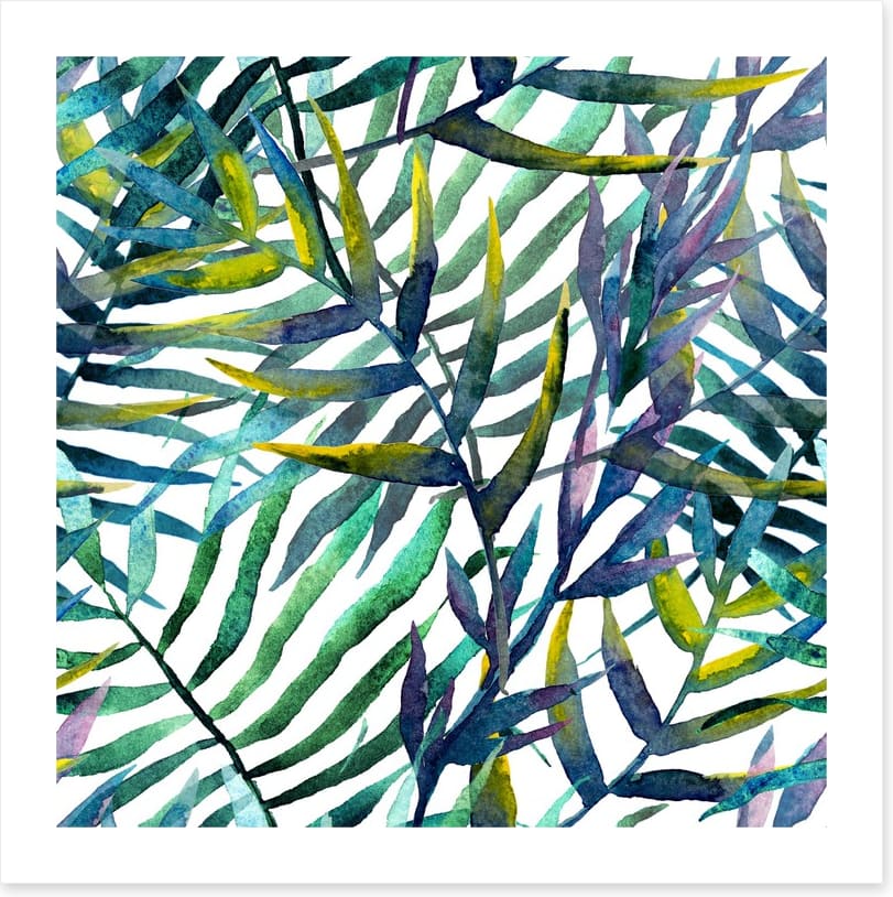 Tropical fronds