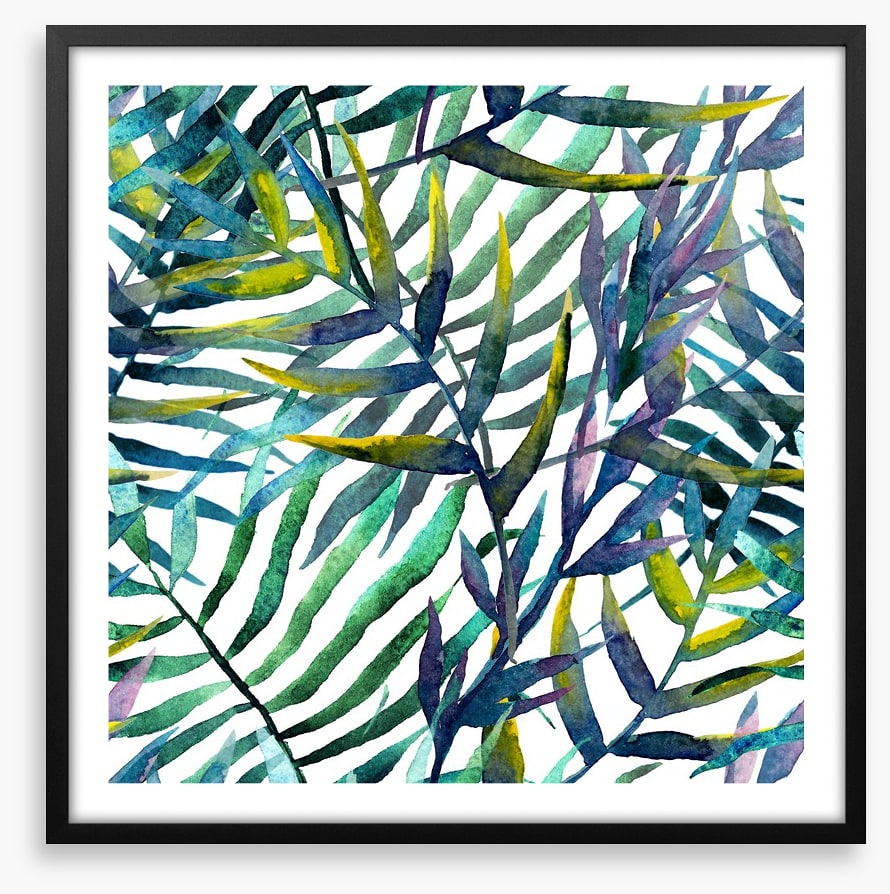 Tropical fronds