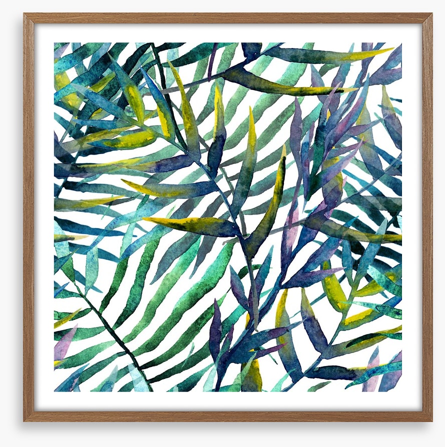 Tropical fronds