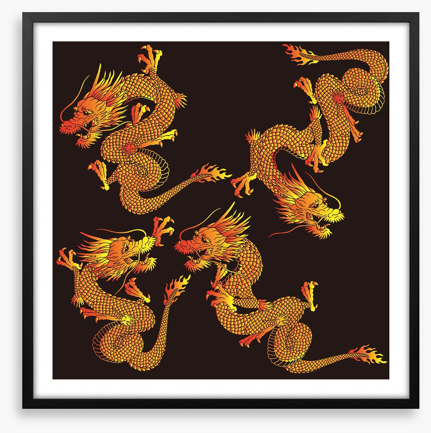 Dragons