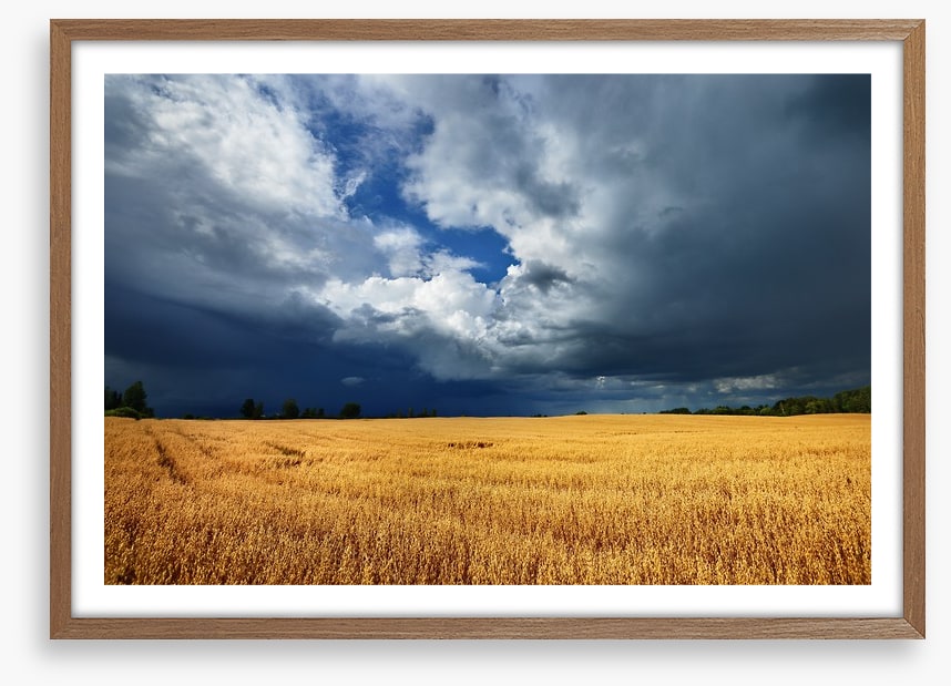 Gathering clouds