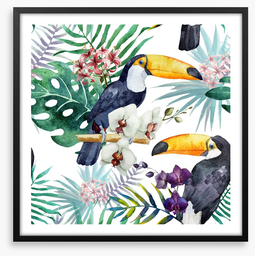Tropical toucan