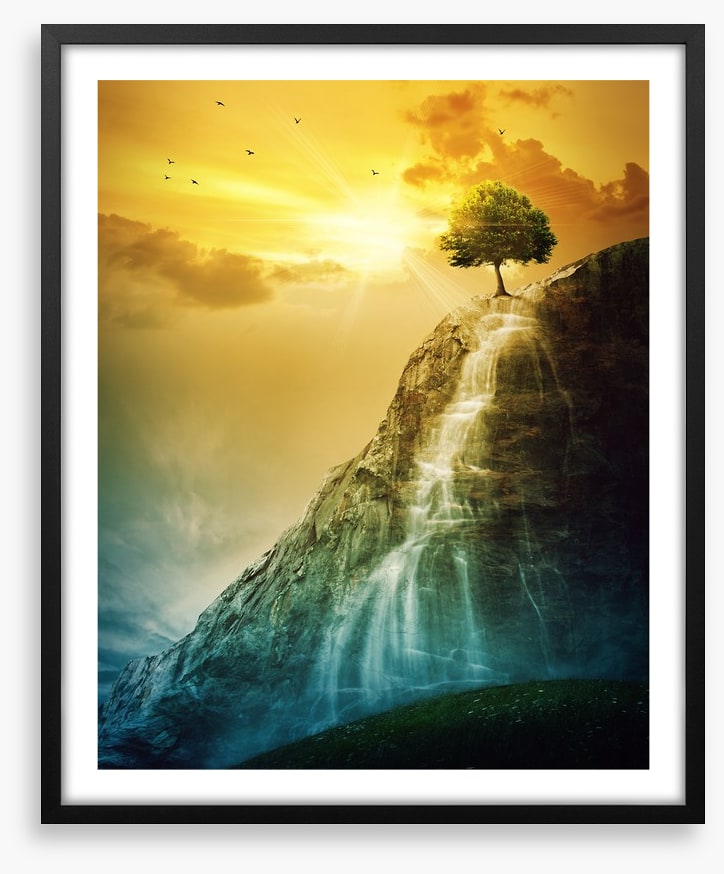 Tree of the falls