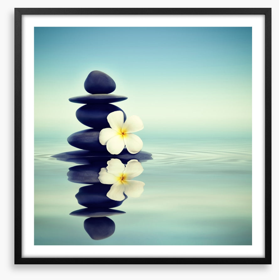 Petals and pebbles