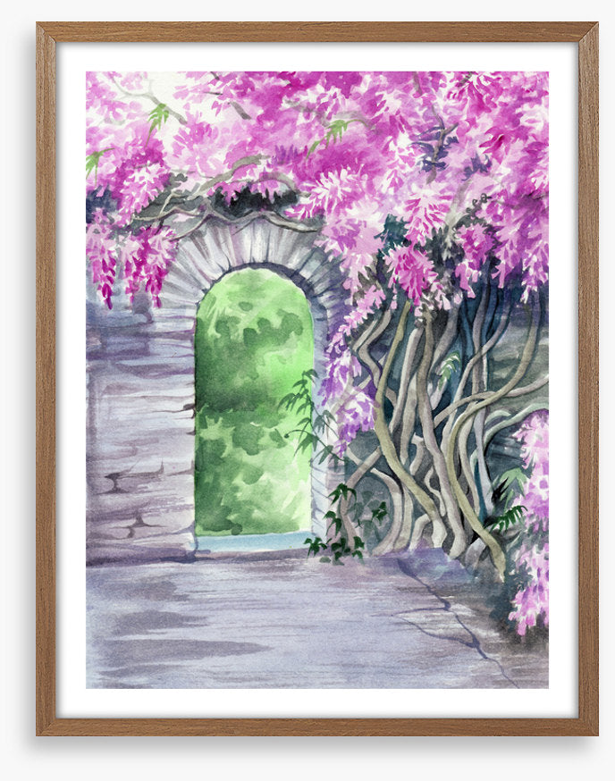The wisteria arch