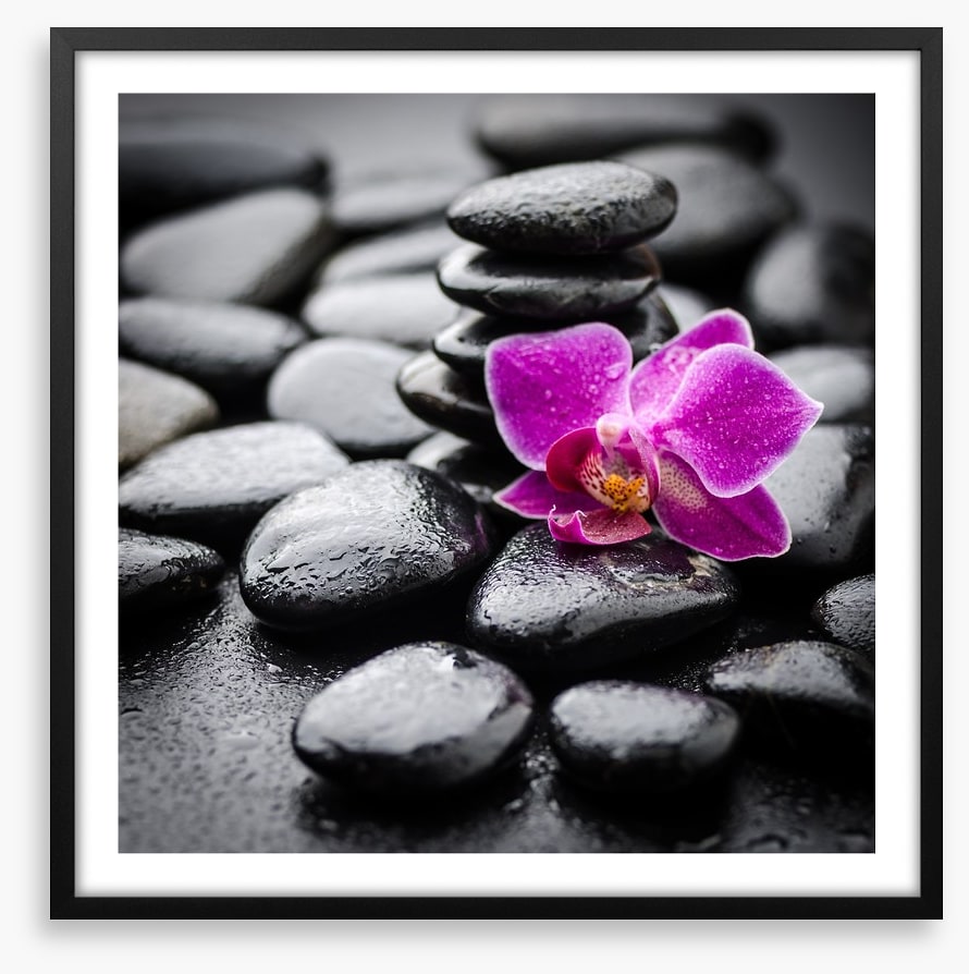 Orchid dew