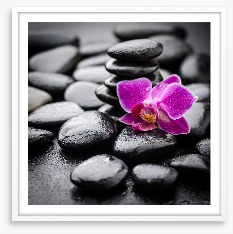 Orchid dew
