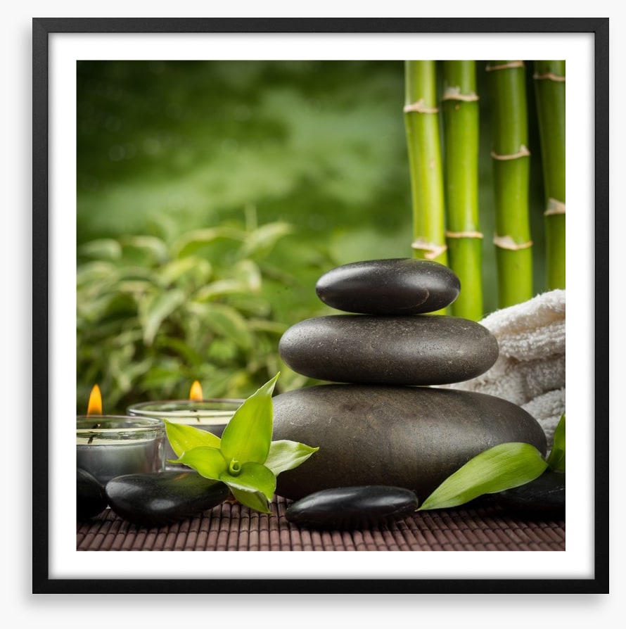 Ayurveda grove