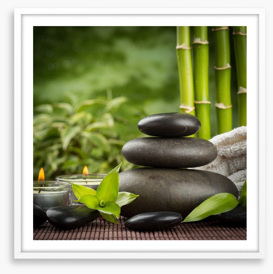Ayurveda grove