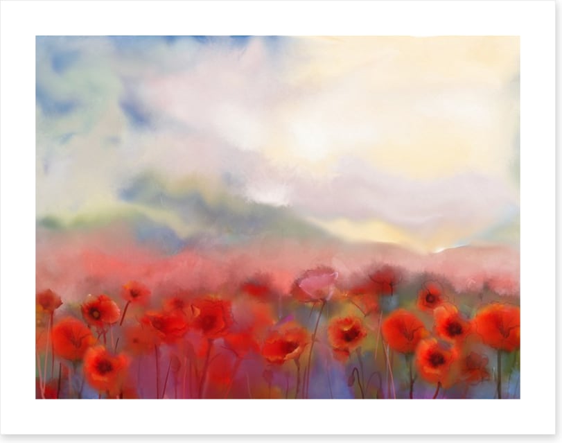 Poppies in the mist