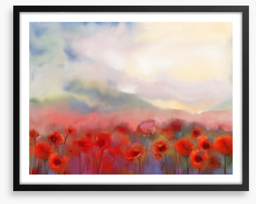 Poppies in the mist