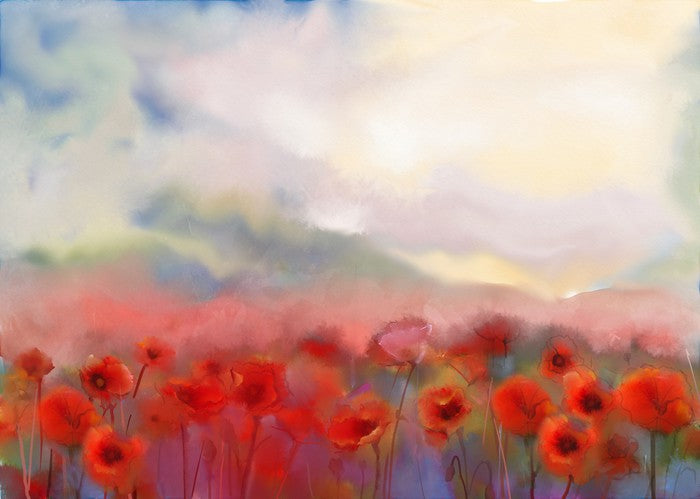 Poppies in the mist