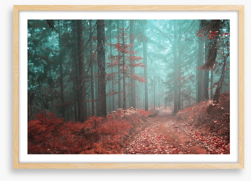 Fairytale fall