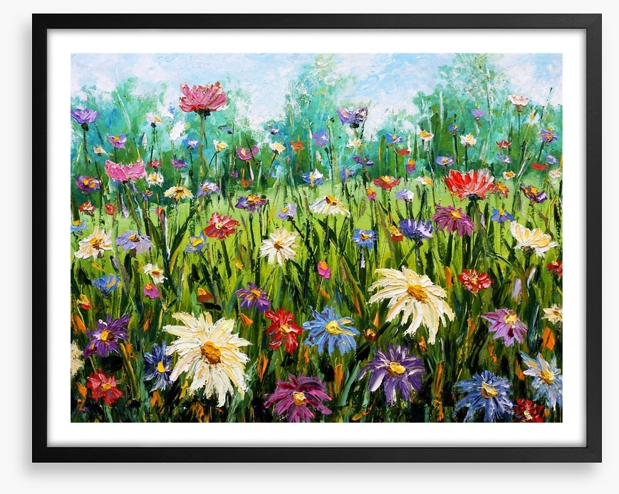 Spring wildflower meadow