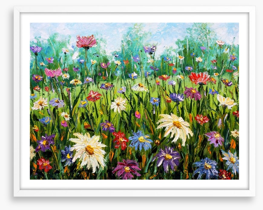 Spring wildflower meadow