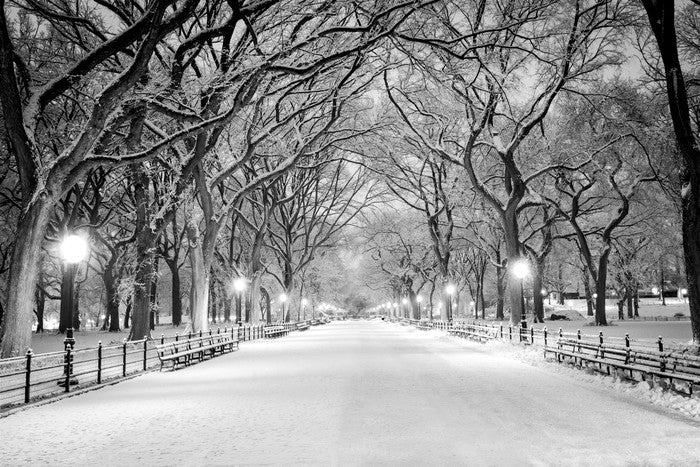 Snowy Central Park