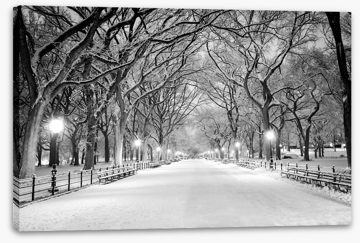 Snowy Central Park