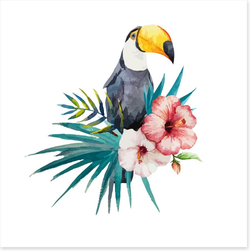 Toucan grove