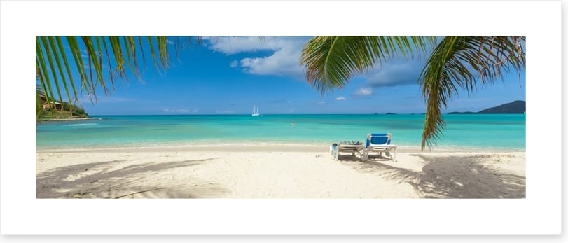 Palm frond beach panoramic