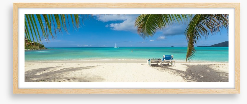 Palm frond beach panoramic