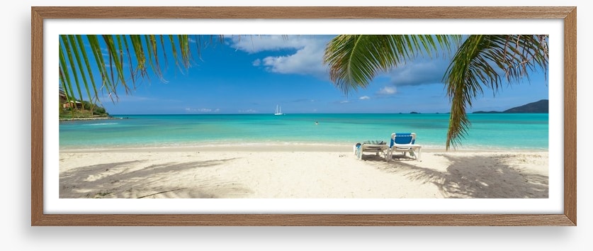 Palm frond beach panoramic