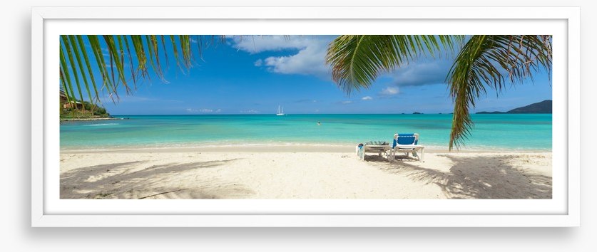 Palm frond beach panoramic