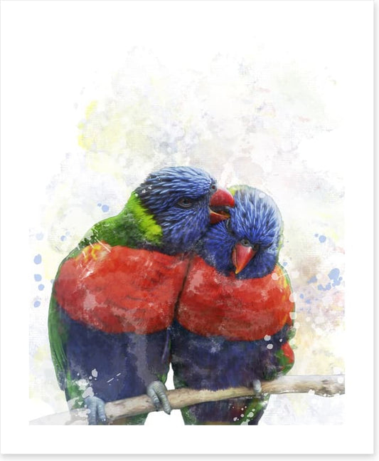 Rainbow lorikeet love