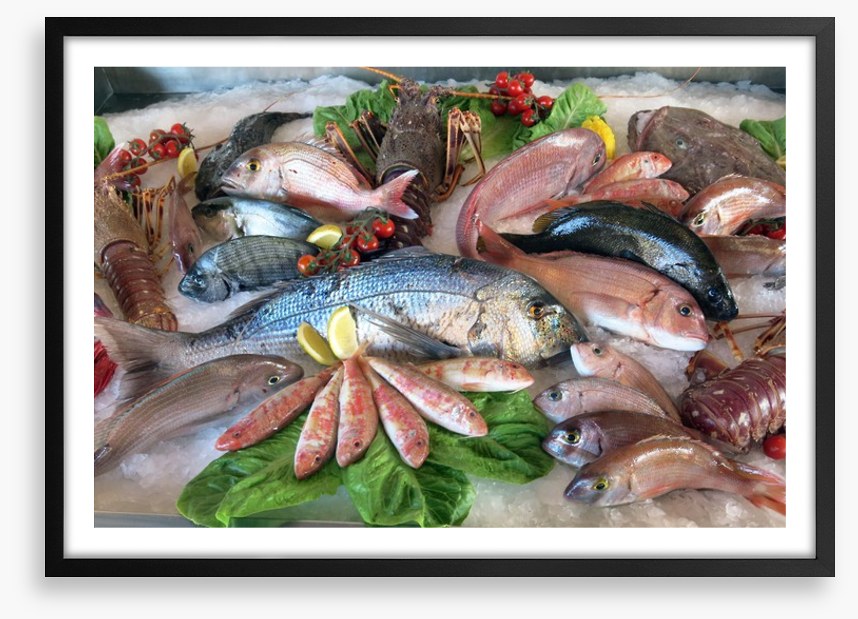 Catch of the day