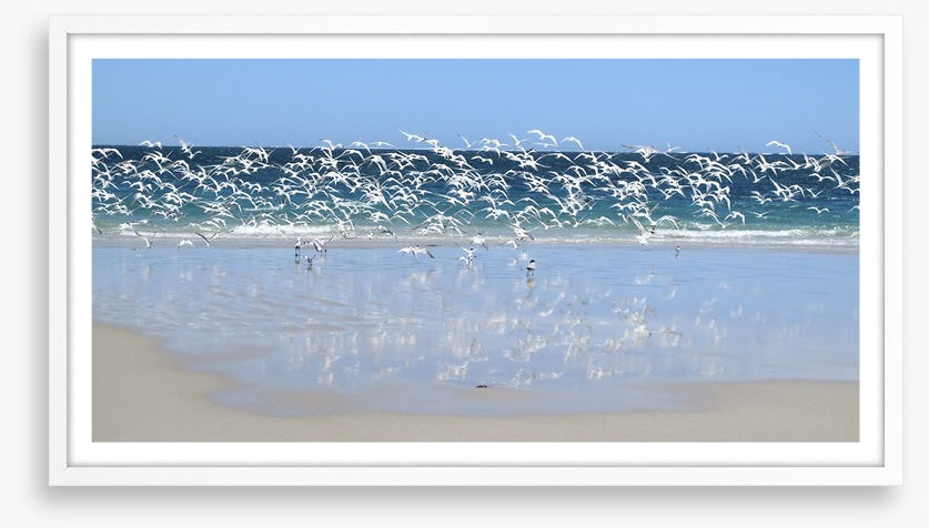 Coast at Coral Bay