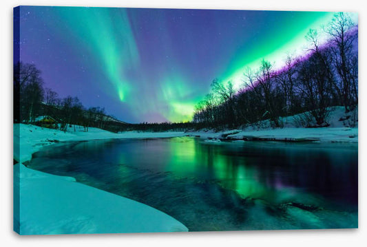 Aurora borealis winter lights