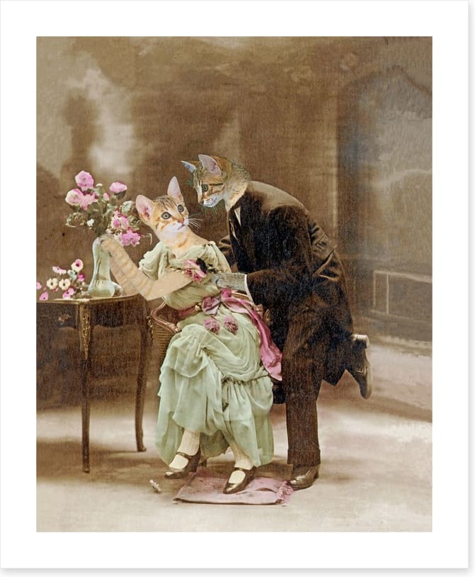 Declaration of love