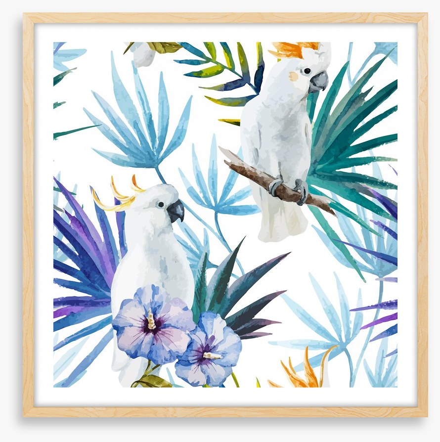 Tropical cockatoo