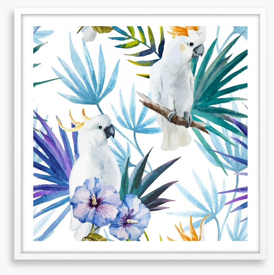 Tropical cockatoo