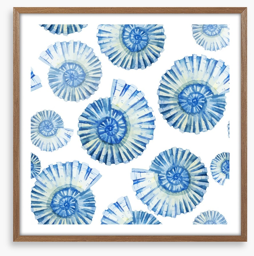 Nautical shells