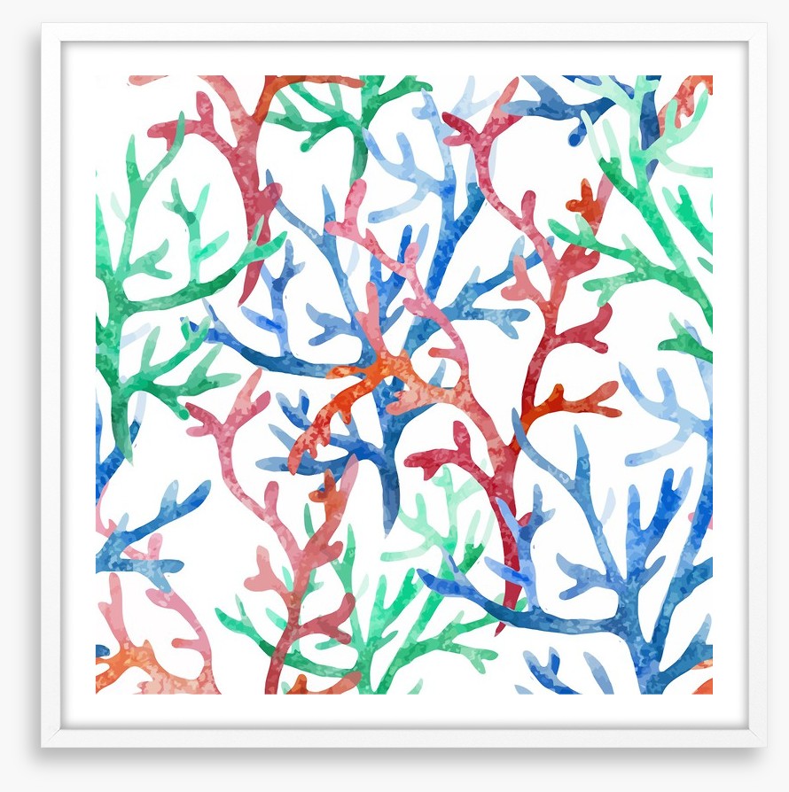 Coral colours