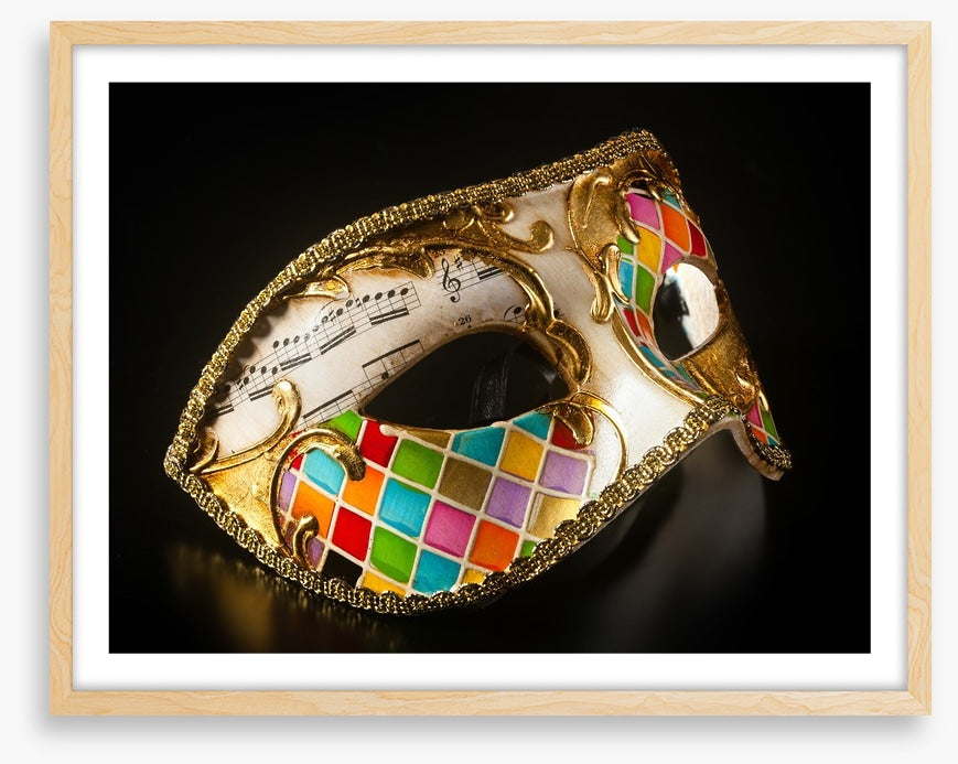 Mysterious harlequin