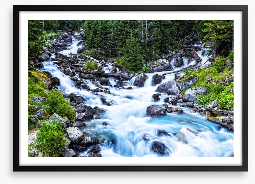 Pristine forest river