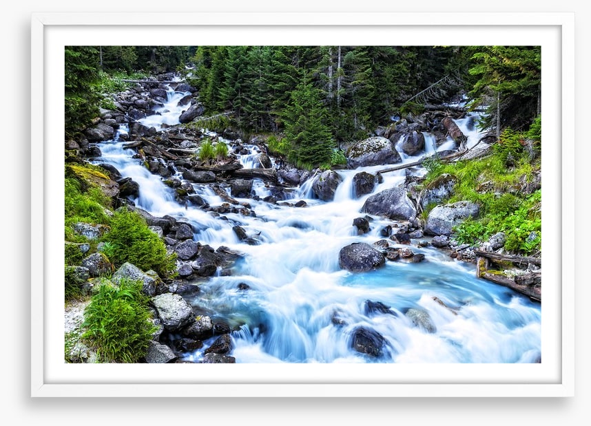 Pristine forest river