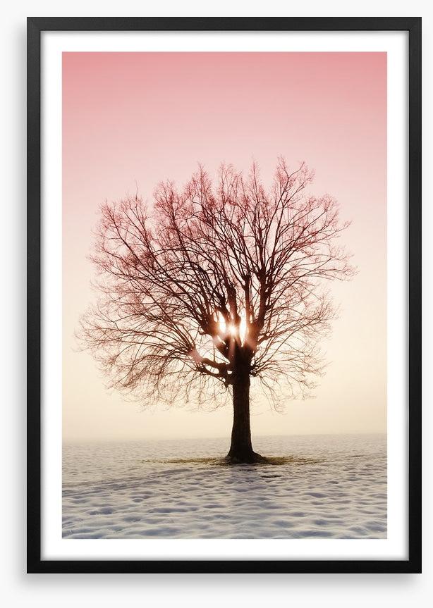 La vie en rose