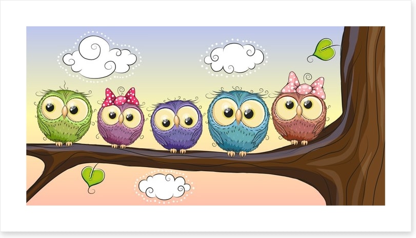The owl branch