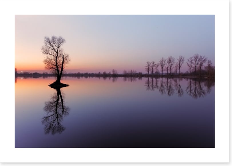 Sunrise silhouettes