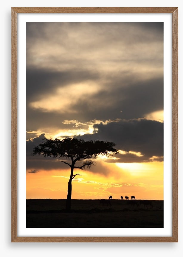 Masai Mara sunset