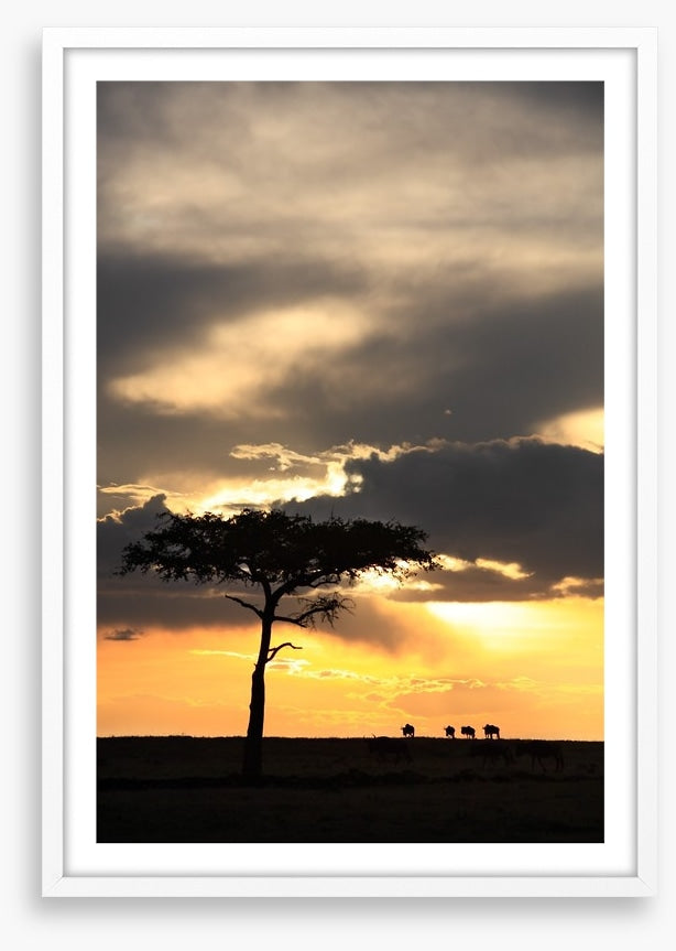 Masai Mara sunset