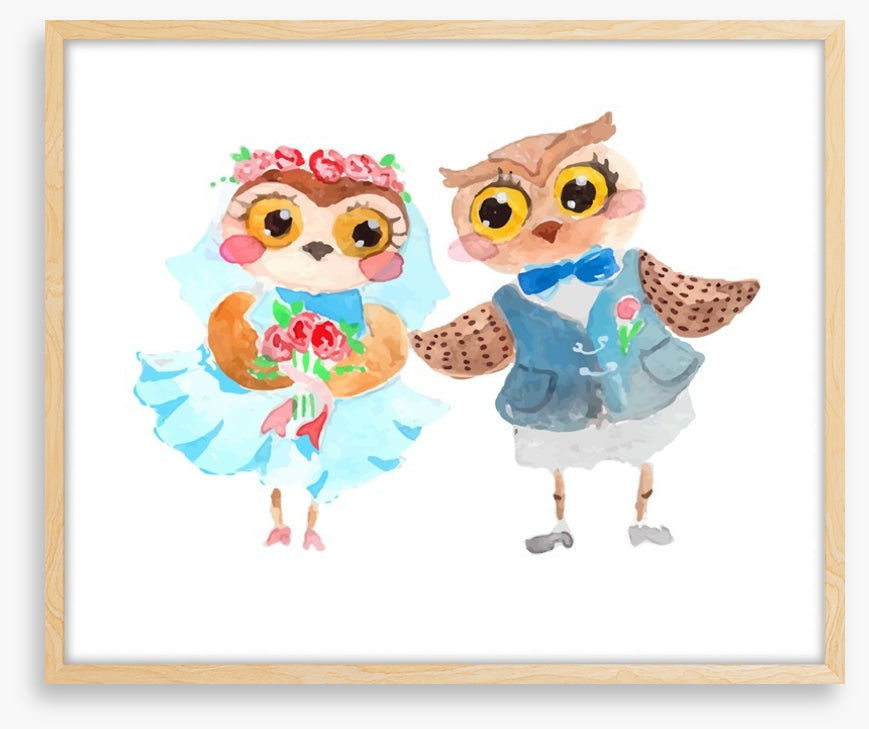 Owls