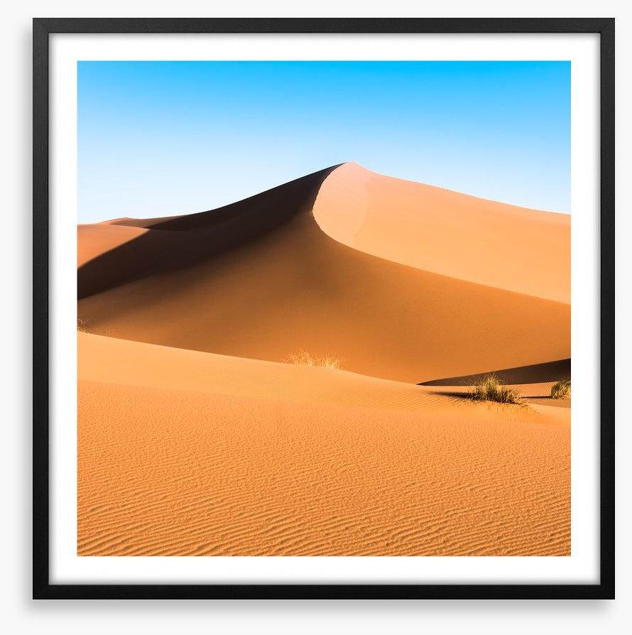Desert